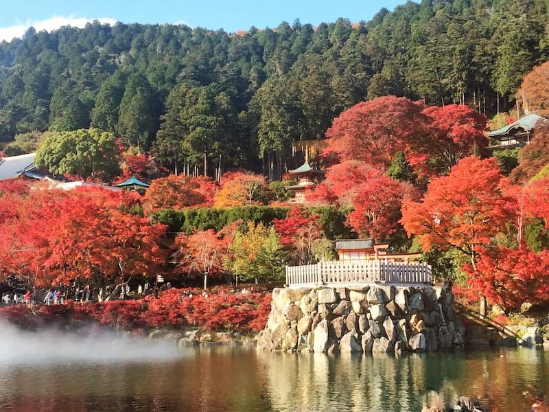 🌳 제제 성터 공원(젠쇼조세키코엔) 이미지 4
